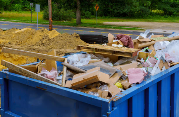 Professional Junk Removal  in Holt, AL